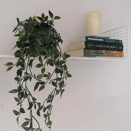 Apartment Edificio Arenal