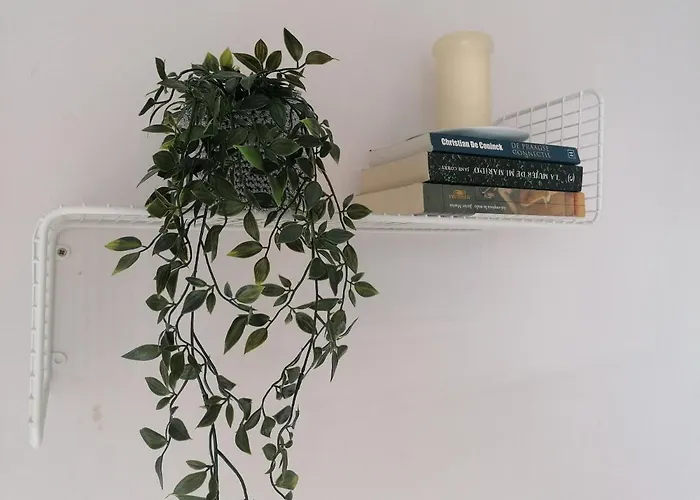 Lejlighed Edificio Arenal